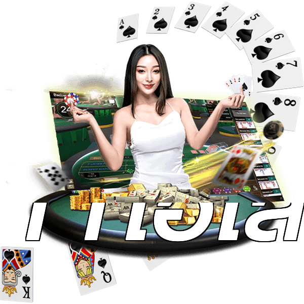 11ไฮโล